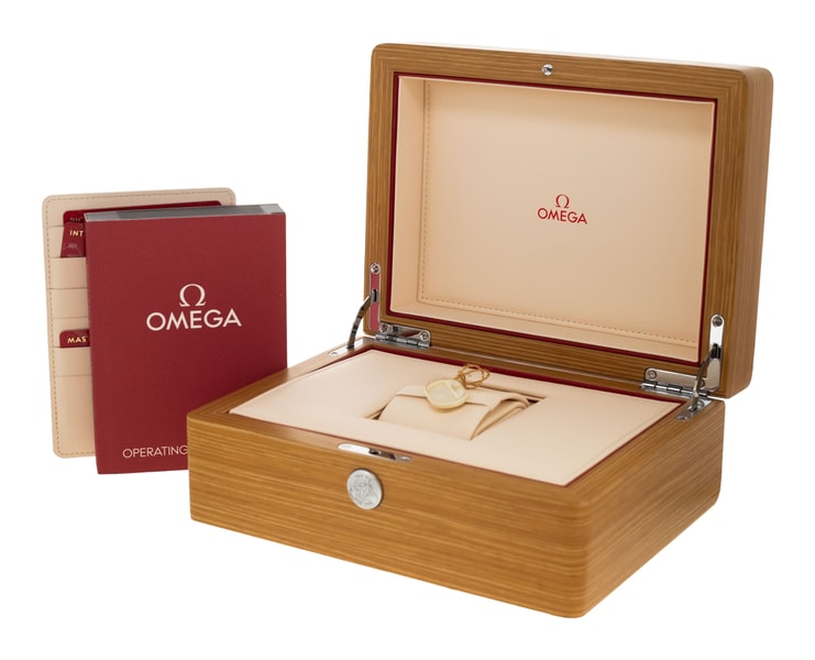 Omega Aqua Terra 150m Gents 220.10.41.21.06.001